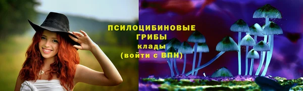 твердый Абдулино