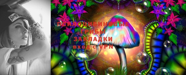 ешки Алзамай