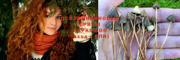 тгк Алексин