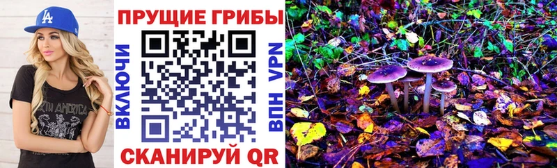 даркнет сайт  Гурьевск  Псилоцибиновые грибы мицелий 