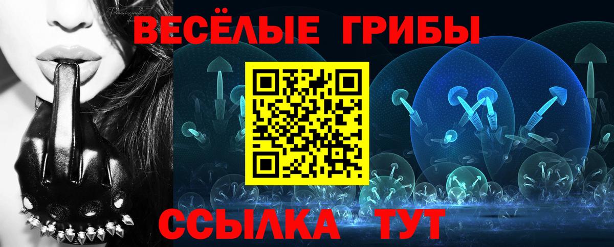 Гурьевск  наркотики  Вход с VPN  Псилоцибиновые грибы Psilocybine cubensis  Псилоцибиновые грибы прущие грибы 